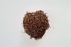 Root-Beer-Rooibos.jpg